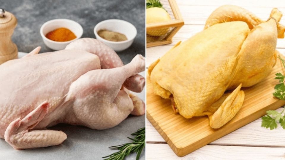 Si no estas seguro del pollo que necesitas comer en el día a día, entérate de la mejor opción aquí