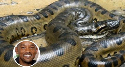 Expedición en la que participa Will Smith descubre nueva especie de anaconda