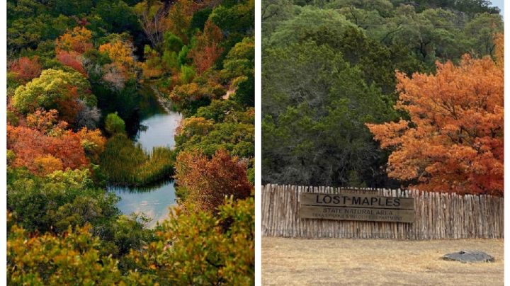 Lost Maples, ¿cómo llegar a este 'paraíso' en Texas?