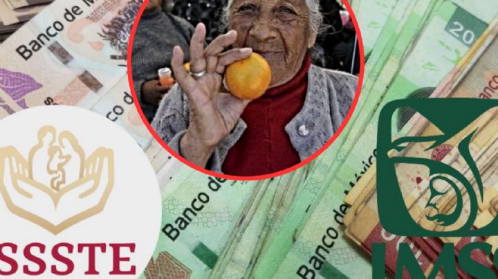 ¿Recibirán pensionados del IMSS e ISSSTE utilidades en este 2024?; esto dice la ley