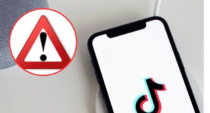 TikTok: estas son las razones por las que podría cerrar en 3 meses