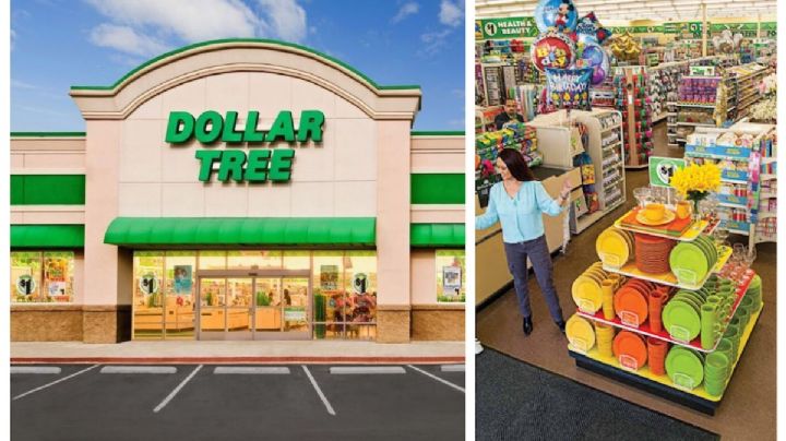 Dollar Tree: lo que no sabías que vendían en la tienda