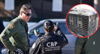 Tumba CBP droga valuada en 9.5 milllones de dólares en el Puente del Comercio Mundial