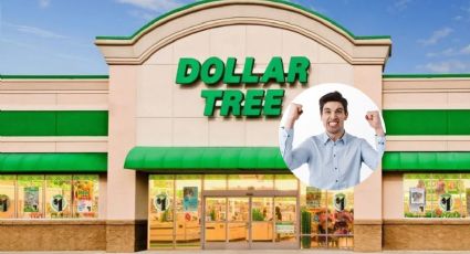 Dollar Tree: siete productos exclusivos que podrás en comprar en marzo