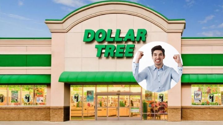 Dollar Tree: siete productos exclusivos que podrás en comprar en marzo