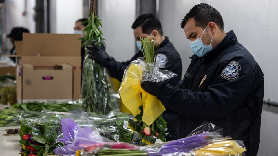 Autoridades alertan sobre ingresar con flores a EU el día de San Valentín