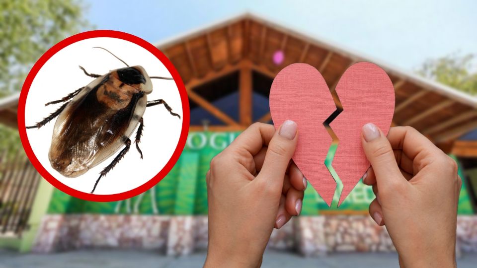 El Zoológico de Nuevo Laredo tendrá evento de San Valentín con cucarachas