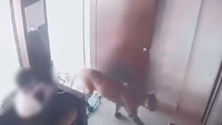 Leopardo entra a una oficina; niño reacciona de forma inesperada | VIDEO