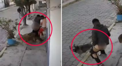 Joven es atacado por jauría de perros; cámara capta todo | VIDEO