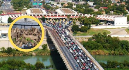 Detienen a automovilistas que intentaron cruzar gran cantidad de plantas por el Puente II
