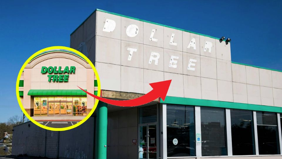 Dollar Tree es de las tiendas más populares en Estados Unidos