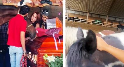 Hasta los caballos de Cuacolandia lloraron al despedir a Elena Larrea en su funeral