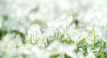 Fuerte granizo impacta al sur de Texas, ¿cuándo terminan las tormentas?