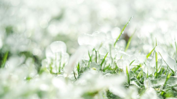 Fuerte granizo impacta al sur de Texas, ¿cuándo terminan las tormentas?