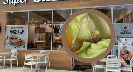 'Urge una buena fumigación': cliente halla enorme cucaracha en comida de Super Salads