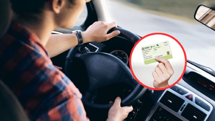 Licencia permanente gratis en abril si vives en este estado