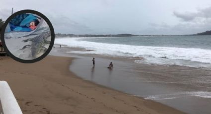 Turista despierta con un cocodrilo en playa de Jalisco | VIDEO