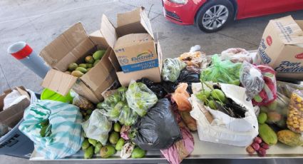 Decomisan 500 libras de mango y otras frutas en puente internacional 2 en Laredo, Texas