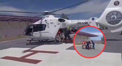 Víbora de cascabel muerde a joven en Santiago, Nuevo León; tuvo que ser llevado en helicóptero