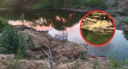 Avistan cocodrilo en Arroyo del Coyote de Nuevo Laredo