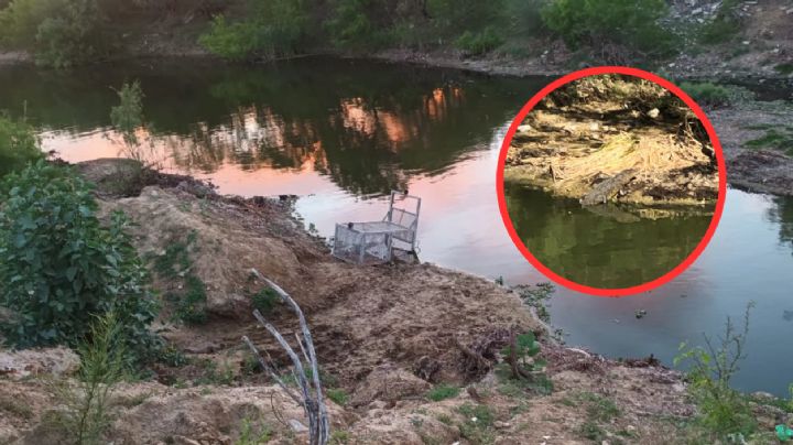 Avistan cocodrilo en Arroyo del Coyote de Nuevo Laredo