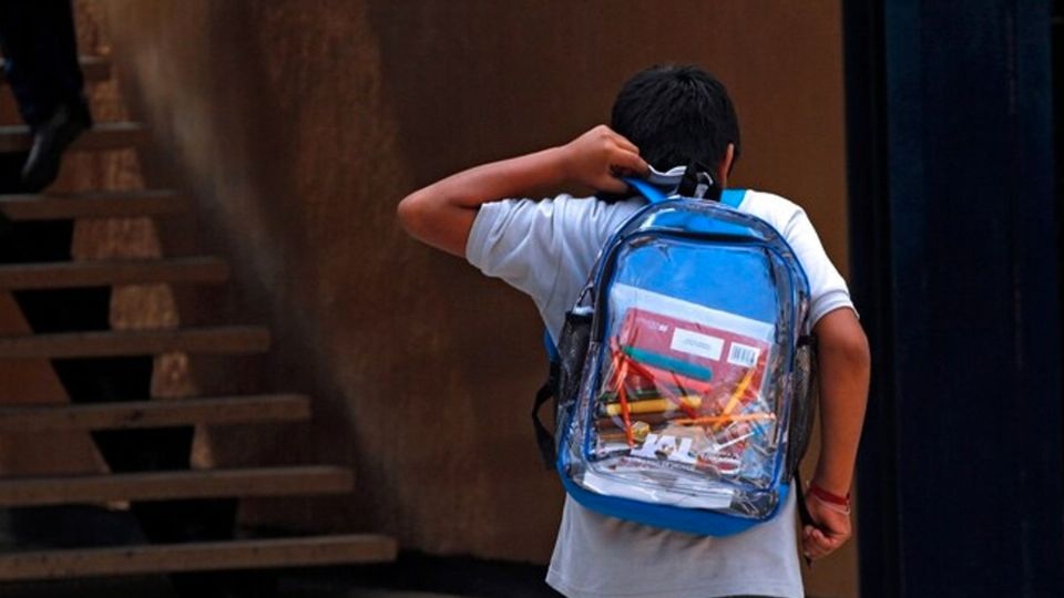 Mochilas transparentes