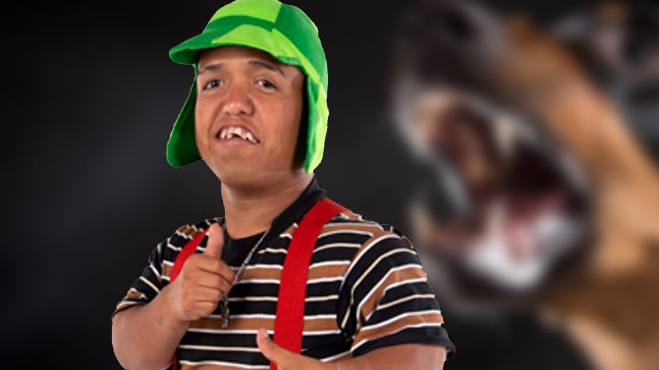 Medio Metro sufre mordida de perro