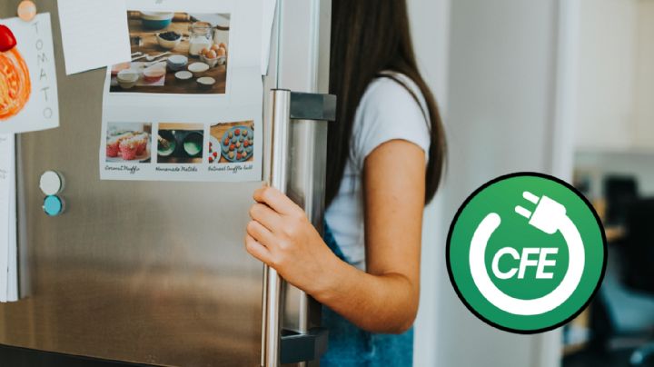 CFE: estos estados pueden aplicar para comprar a crédito un refrigerador nuevo