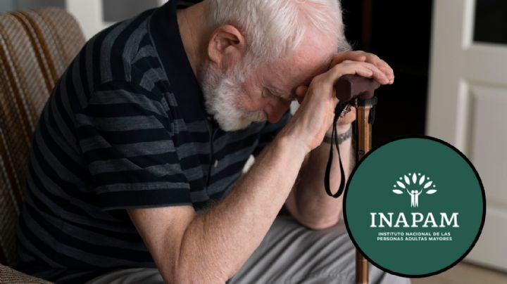 INAPAM, ¿se suspenden los beneficios y descuentos durante la veda electoral 2024?