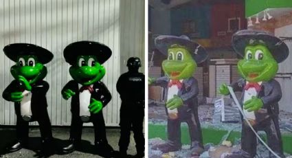 Hallan ranas robadas del Señor Frog's de Acapulco; ¿quién las tenía y en dónde estaban?