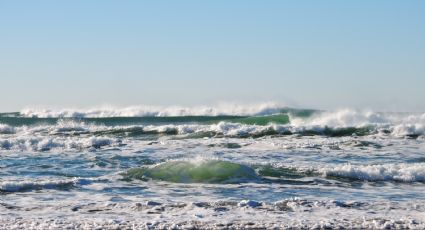 Spring Break: Alertan por bacterias fecales en estas playas de Texas