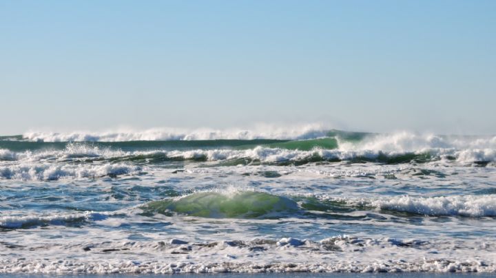 Spring Break: Alertan por bacterias fecales en estas playas de Texas