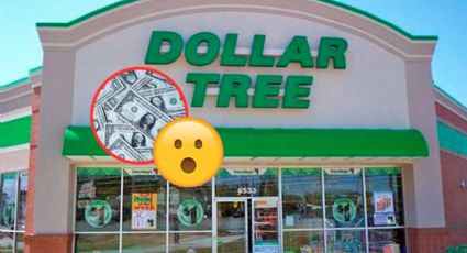 Artículos de Dollar Tree que aumentarán su precio este 2024