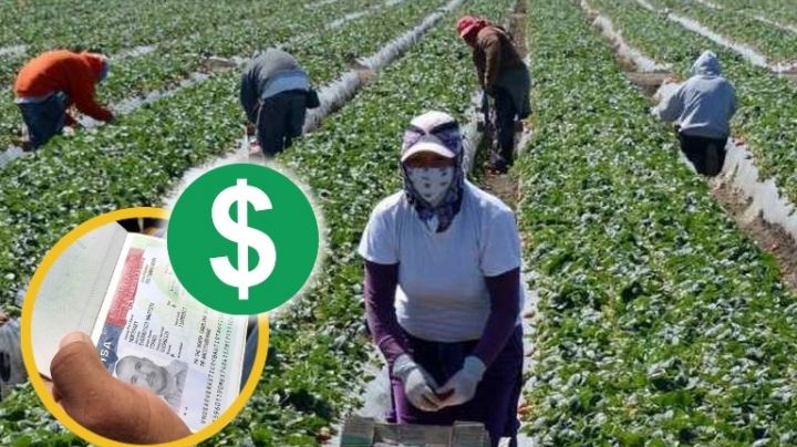 Visa de trabajo temporal H-2: ¿debe ser pagada por tu empleador?