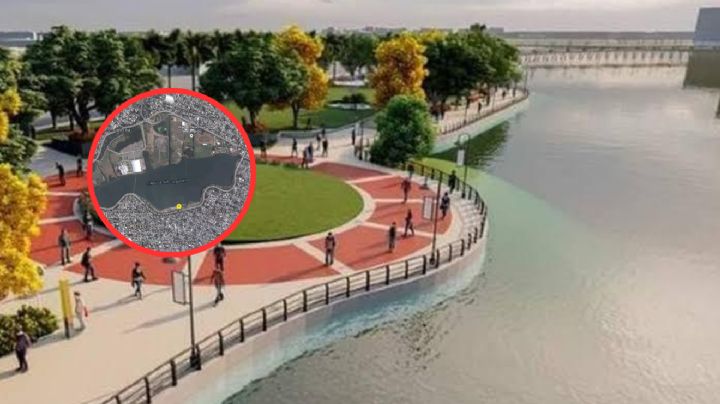 Laguna del Carpintero: un santuario mágico para los cocodrilos; se encuentra en Tamaulipas