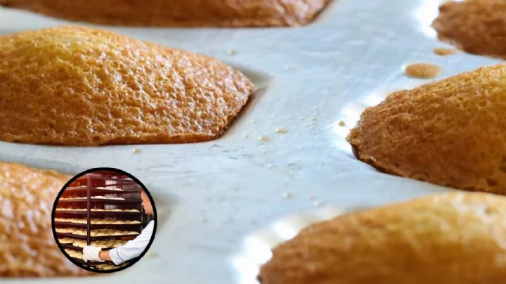 México tiene la panificadora más grande del mundo, ¿cuál es y dónde se encuentra?