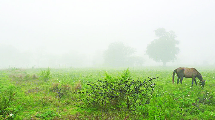 Marzo de 2024, el más lluvioso en seis años en Nuevo Laredo