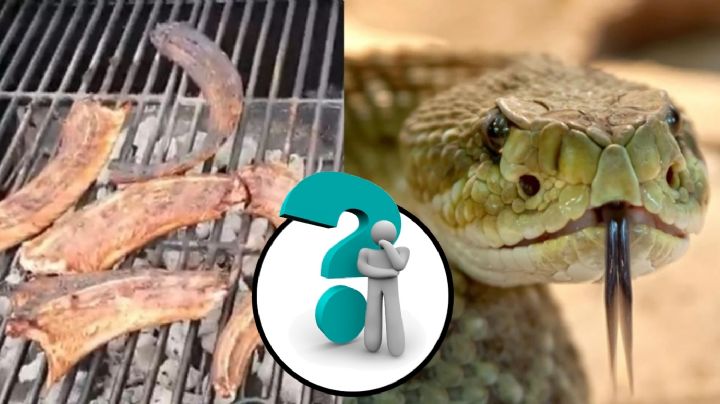 Estos son los poderes curativos de la carne de víbora de cascabel