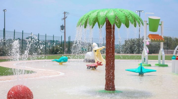 Gran reapertura de alberca Camécuaro y área acuática en el Parque Viveros