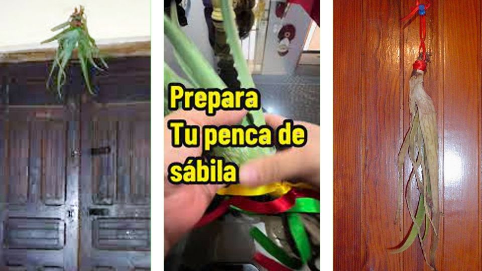 El significado de la sábila en las puerta