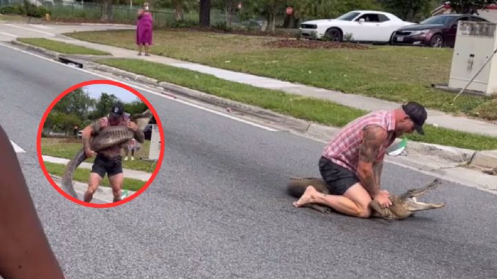 Descalzo y sin protección hombre somete caimán en Florida | VIDEO