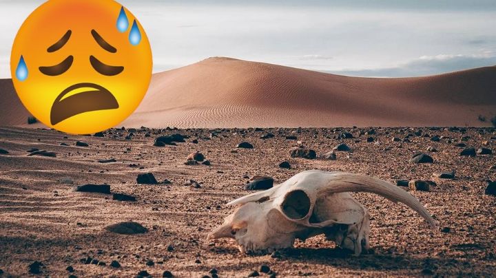 Este es el lugar más caliente del mundo, ¡y está en México!