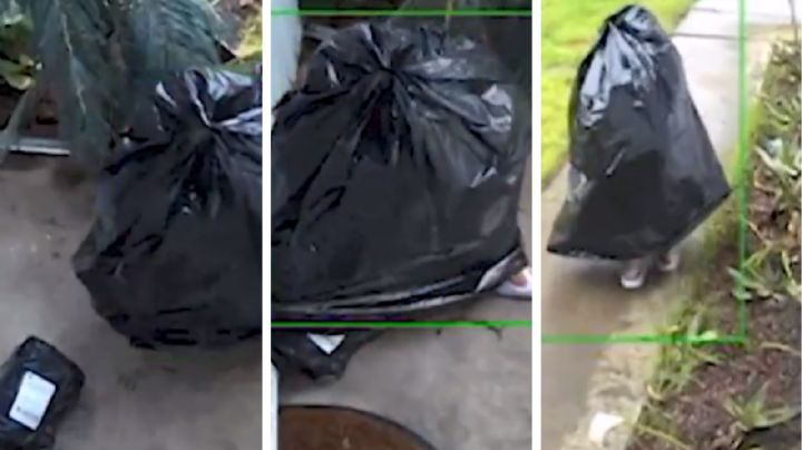 Ratero se pone creativo: se disfraza de bolsa de basura para robar paquete en una casa | VIDEO