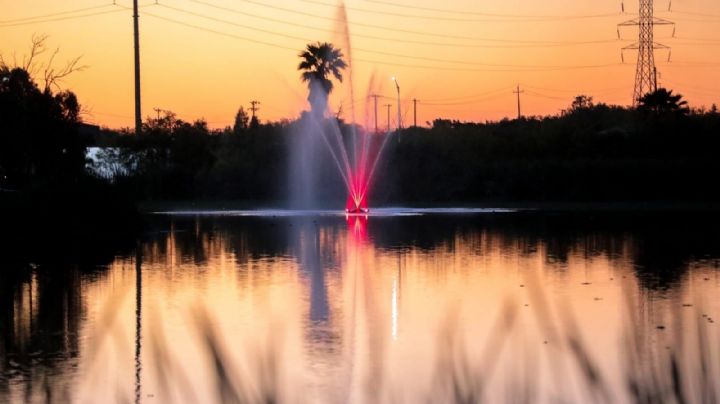 Tiene 48% de avance saneo de El Laguito; así luce