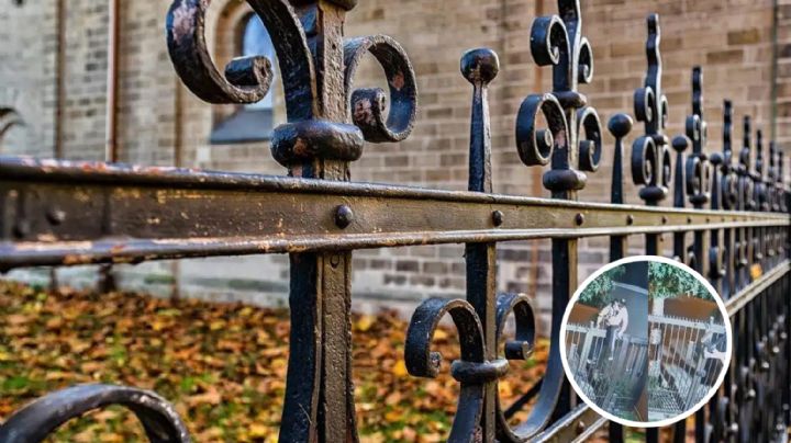 Mujer intenta robar en casa, su pantalón se gancha en la reja; casi termina desnuda I VIDEO