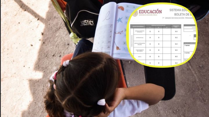 ¿Cuándo sube la SEP las calificaciones finales del ciclo escolar 2023-2024?