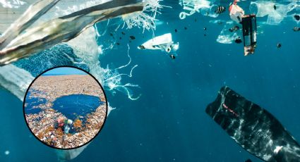 ¿Dónde está la isla de plástico que es tres veces más grande que Francia?