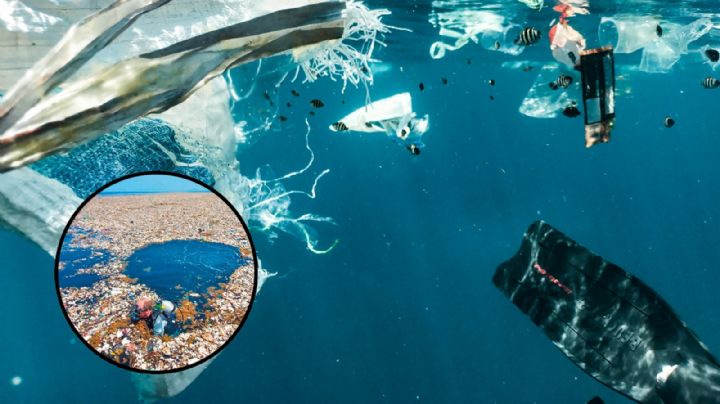 ¿Dónde está la isla de plástico que es tres veces más grande que Francia?