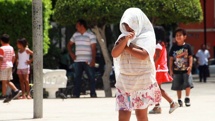 Se registran 60 grados de sensación térmica en esta importante ciudad de México