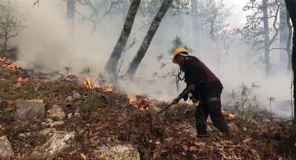 Se quema 'La Chona'; incendio se torna incontrolable y relevan personal para combatirlo